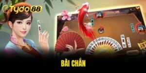 bài chắn
