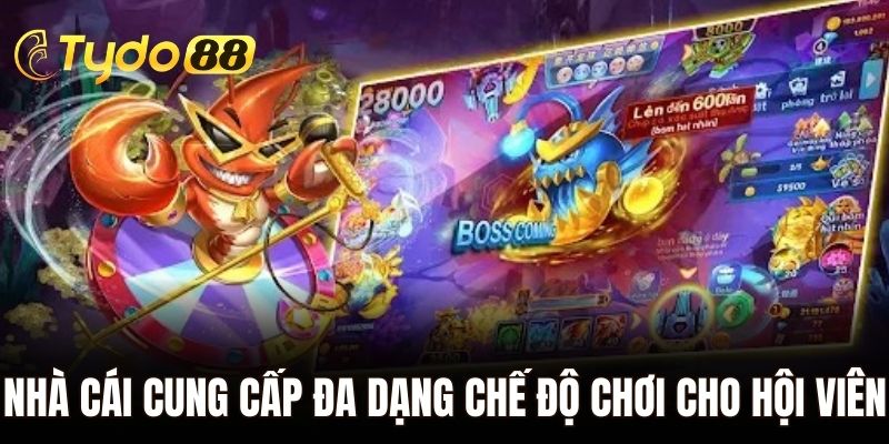 Nhà cái cung cấp đa dạng chế độ chơi cho hội viên