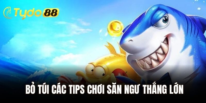 Bỏ túi các tips chơi săn ngư thắng lớn cho người mới