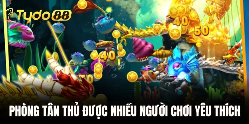 Phòng tân thủ đang được rất nhiều người chơi yêu thích