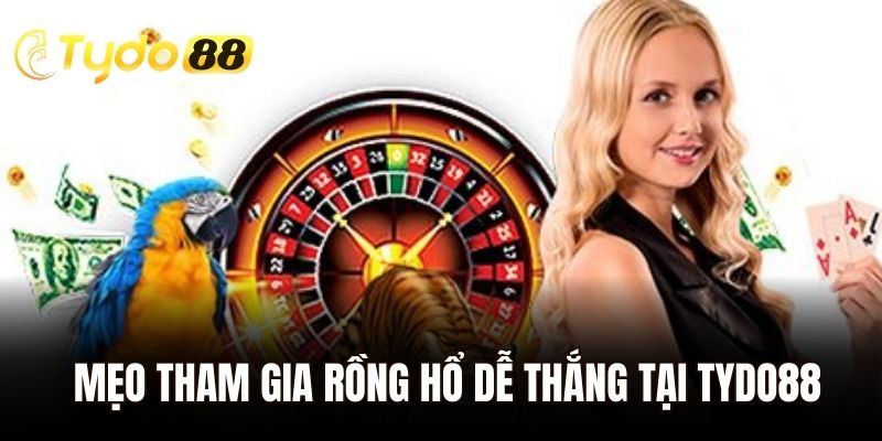 Mẹo tham gia Rồng Hổ dễ thắng cho tân thủ tại Tydo88