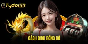 cách chơi Rồng Hổ