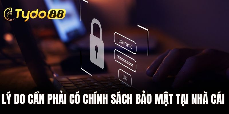 Lý do cần phải có chính sách bảo mật tại nhà cái