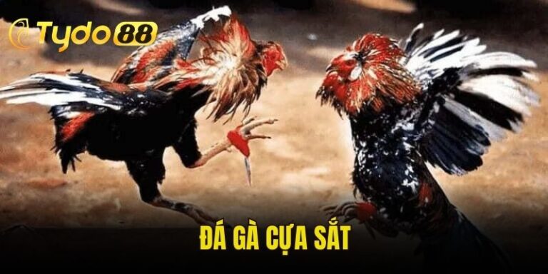 Đá Gà Cựa Sắt
