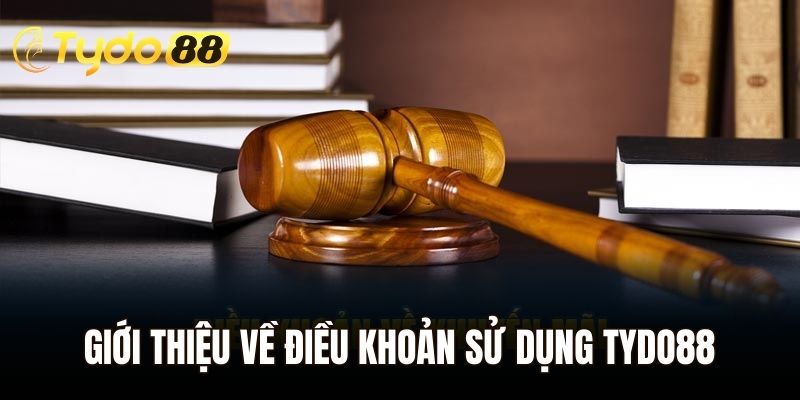 Giới thiệu chung về điều khoản sử dụng Tydo88 bạn cần biết