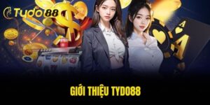 giới thiệu Tydo88