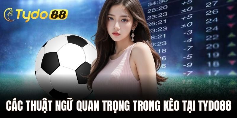 Các thuật ngữ quan trọng trong kèo tại Tydo88