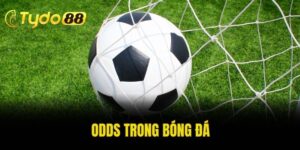Odds trong bóng đá