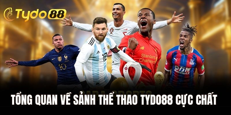 Tổng quan về sảnh thể thao Tydo88 cực chất lượng