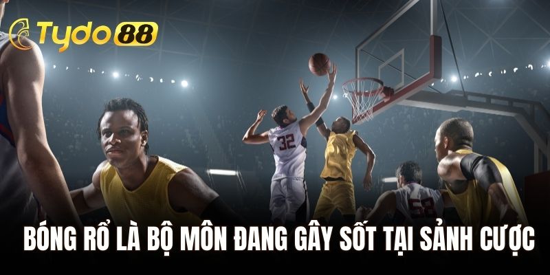 Bóng rổ là bộ môn đang gây sốt tại sảnh cược của nhà cái