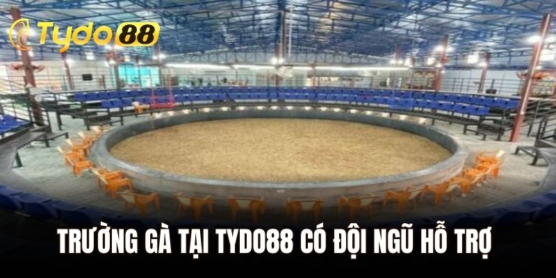 Trường gà tại Tydo88 có đội ngũ hỗ trợ nhiệt tình