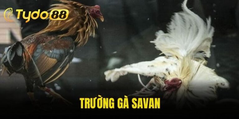 Trường Gà Savan