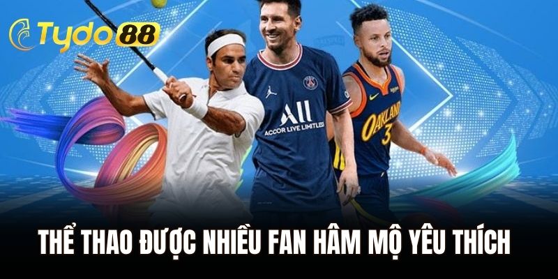 Thể thao - Bộ môn được nhiều fan hâm mộ yêu thích tại Tydo88
