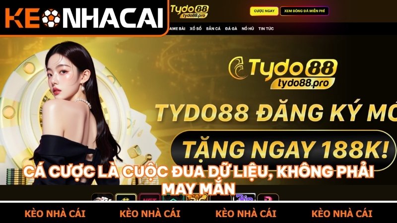 Cá cược là cuộc đua dữ liệu, không phải may mắn