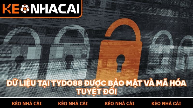Dữ liệu tại TYDO88 được bảo mật và mã hóa tuyệt đối