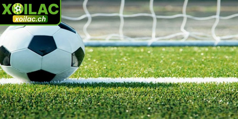 Trang web đang ấp ủ nhiều dự án táo bạo trong tương lai